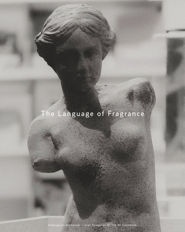 Hedengrens x Björk and Berries