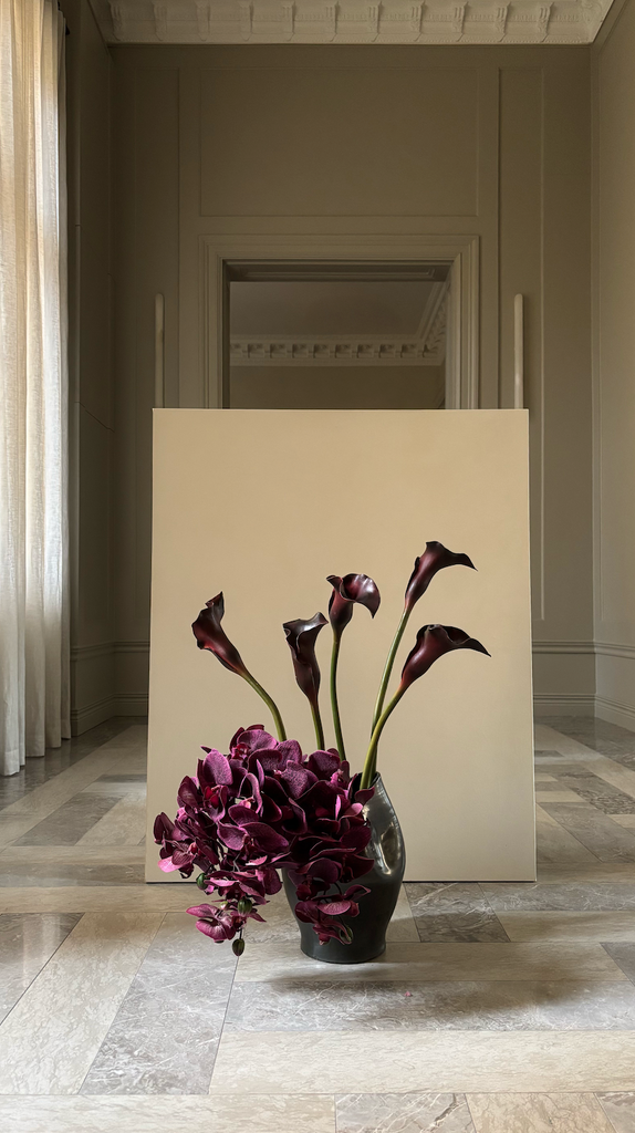 Product Image for 