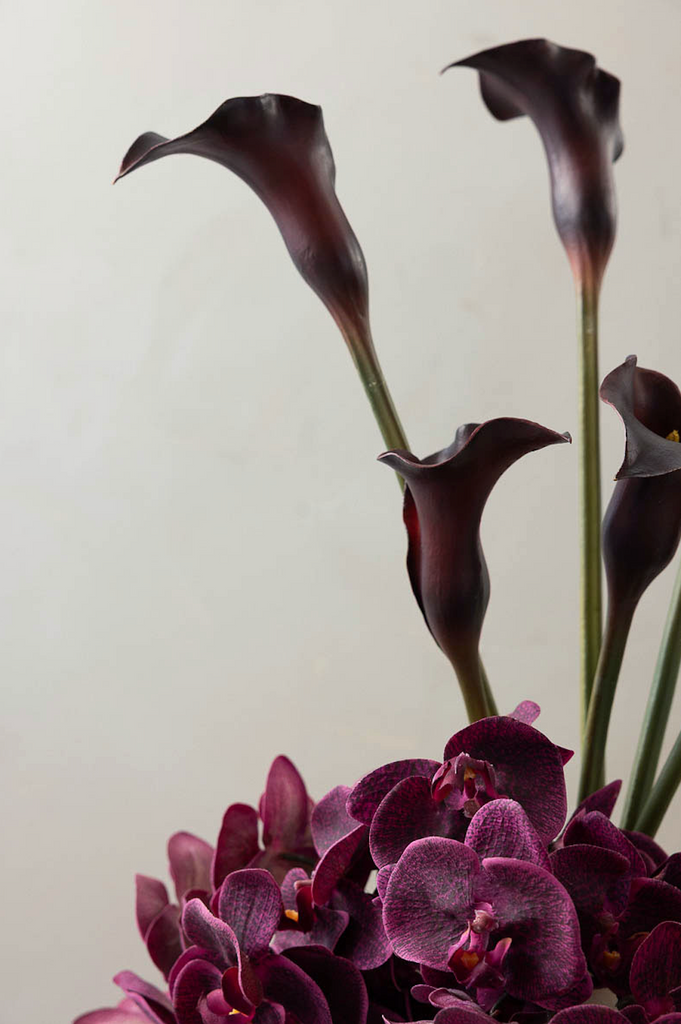 Product Image for 