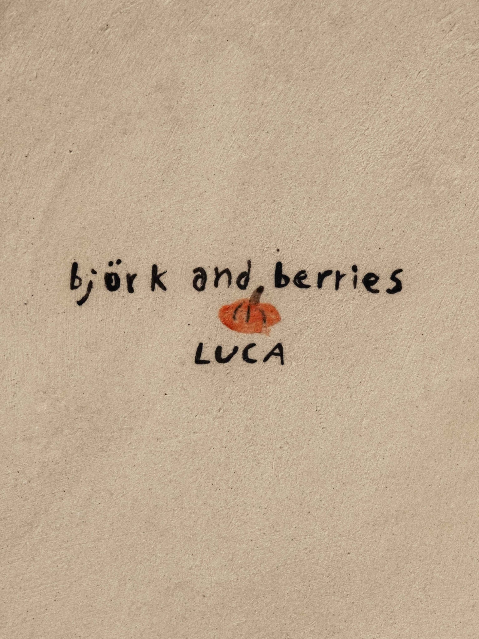 Luca Van Vliet x Björk and Berries Björk and Berries EU